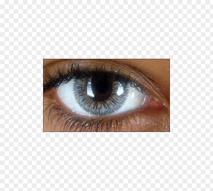 Glamour Contact Lenses Curvature Brown South Korea PNG