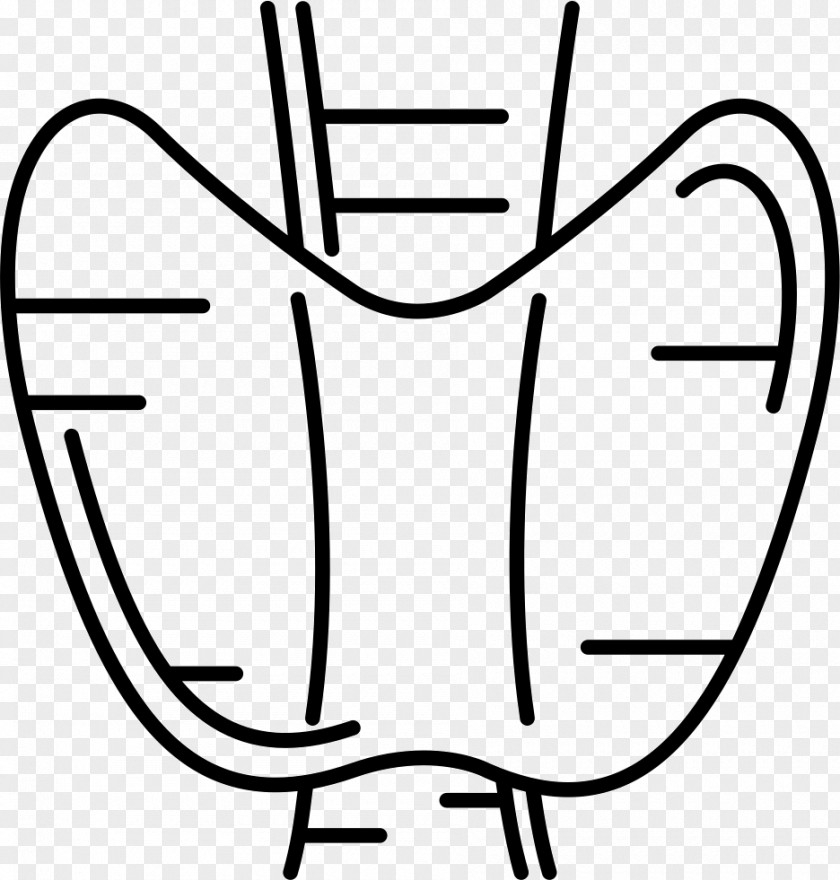 Human Body Clip Art PNG