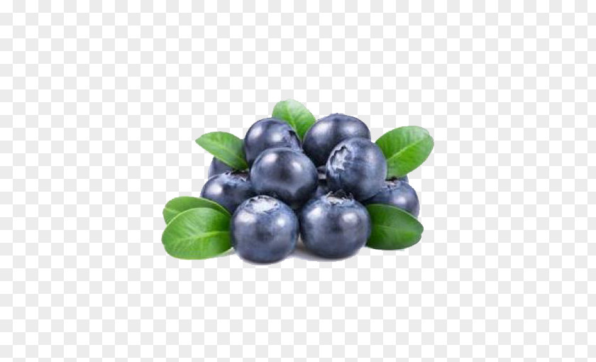Blueberry Green Free Material Juice Fruit Seed Bilberry PNG