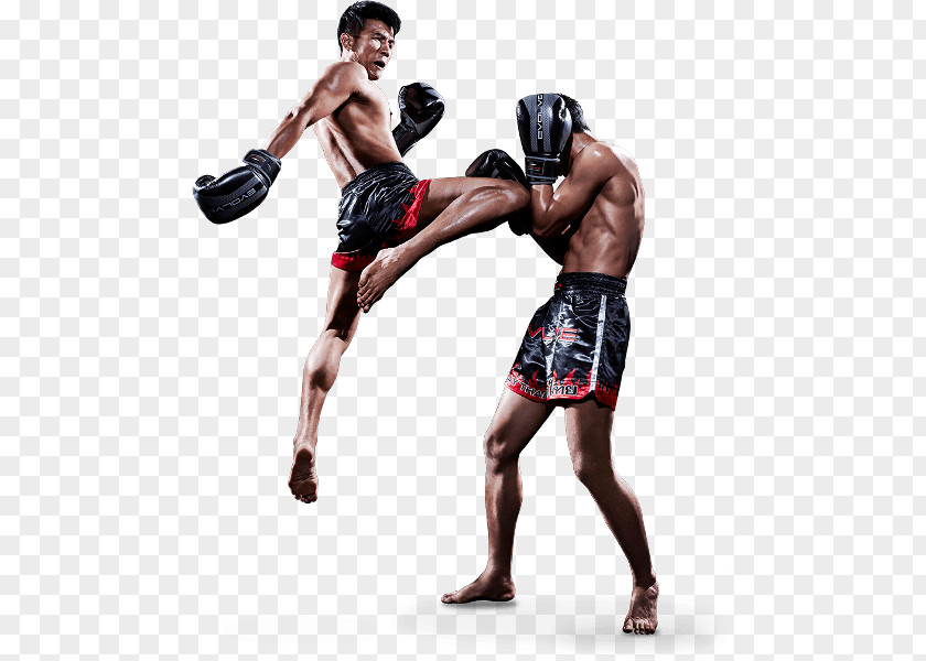 Boxing Muay Thai Kickboxing Martial Arts Brazilian Jiu-jitsu PNG