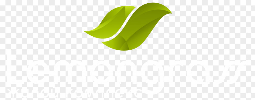 Design Leaf PNG