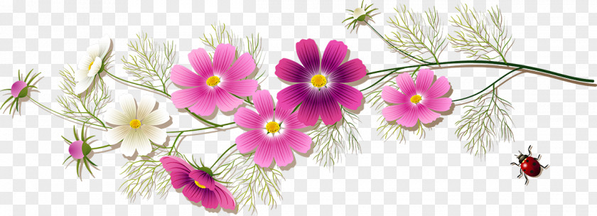 Flower Floral Design Diary LiveInternet Blog PNG