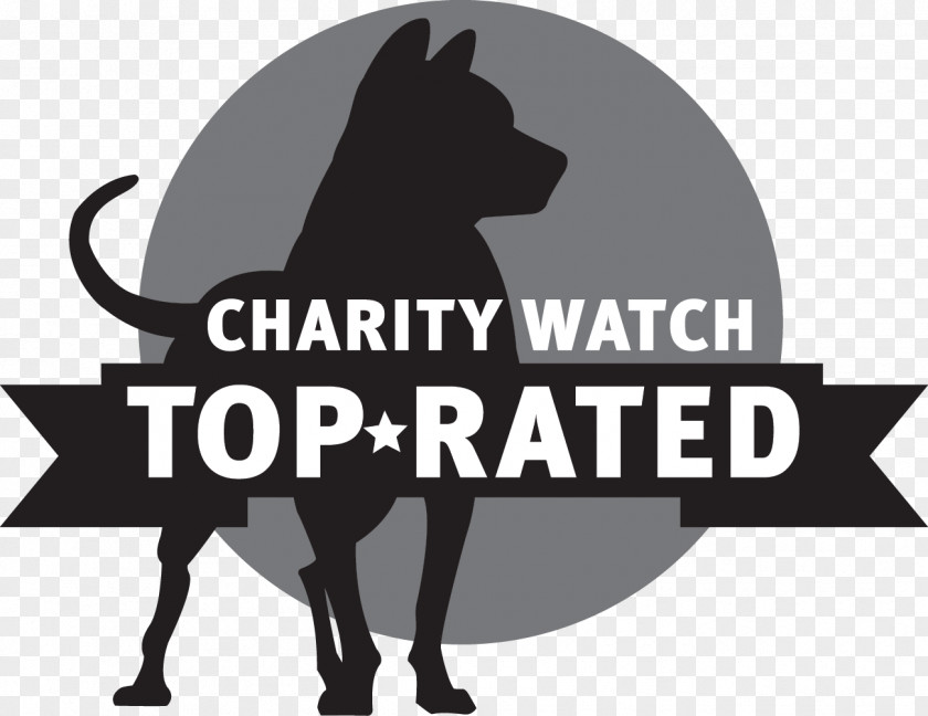 Horse CharityWatch Poverty And Charity Charitable Organization Dog PNG