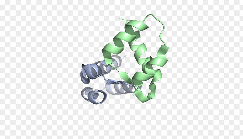 Hypertrophic Cardiomyopathy Plastic PNG