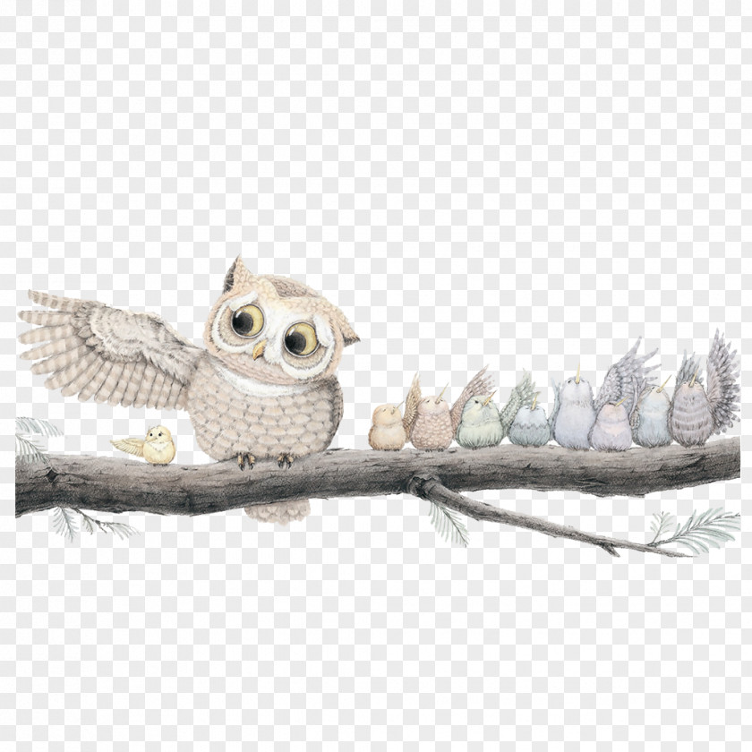 Owl Standing On A Tree Drawing Cuteness PNG