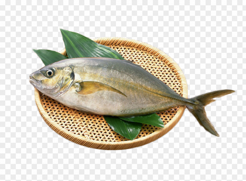 A Live Fish,Fresh Fish Unagi Seafood Diabetes Mellitus PNG