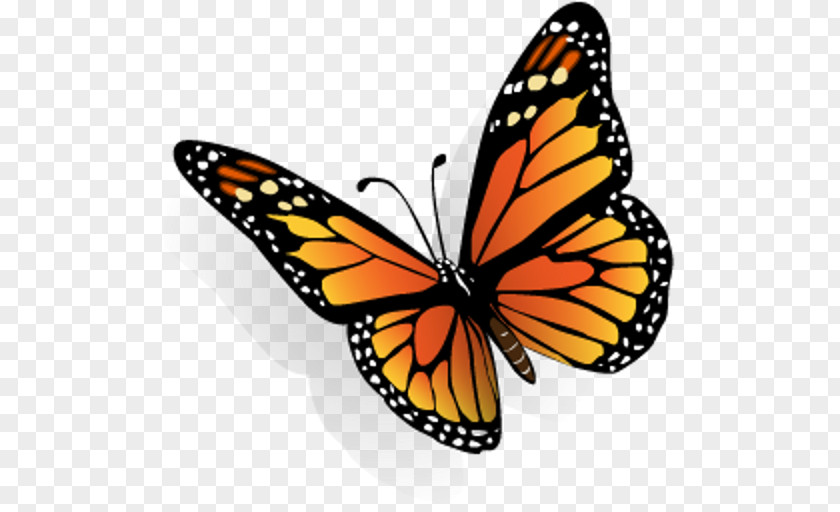 Buterfly Butterfly Desktop Wallpaper Clip Art PNG