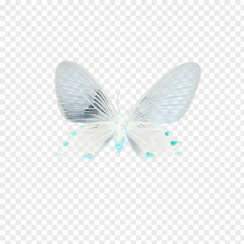 Floating Butterfly Turquoise Microsoft Azure PNG