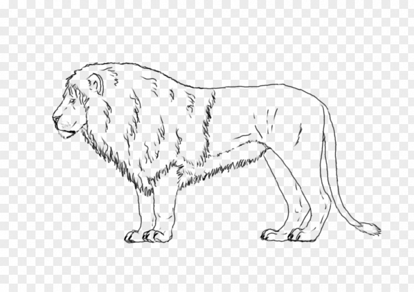 Lion Dog Breed Cat Line Art PNG