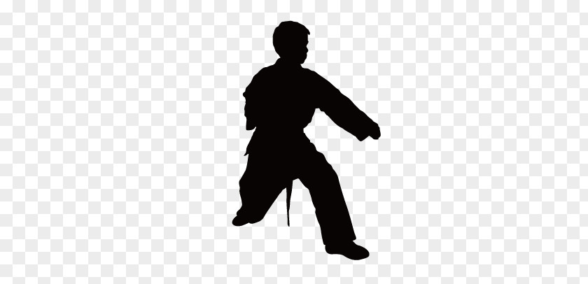 Taekwondo Silhouette Figures Chinese Martial Arts Karate PNG