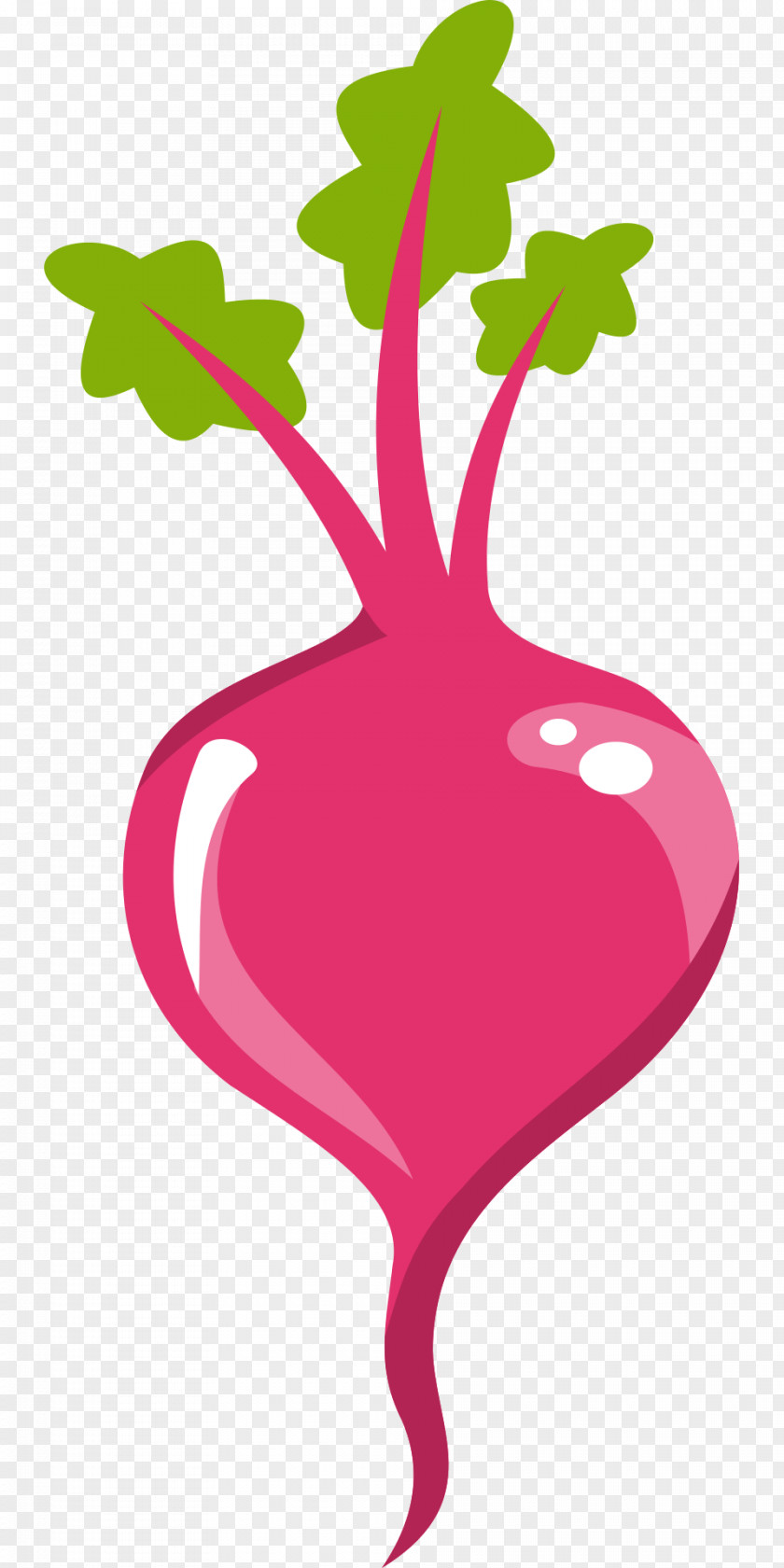 Beet Root Vegetables Beetroots Vegetable Clip Art Radish PNG