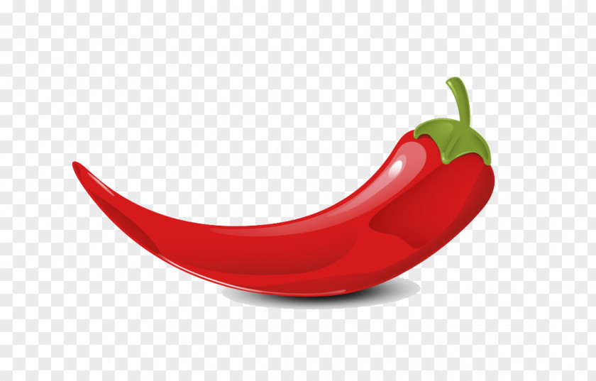 Gambar Cabe Vector Graphic Chili Pepper Clip Art Peppers Capsicum Annuum Var. Acuminatum PNG