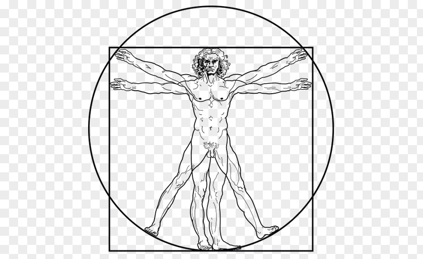 Geometria Sagrada Vitruvian Man The Creation Of Adam Drawing PNG