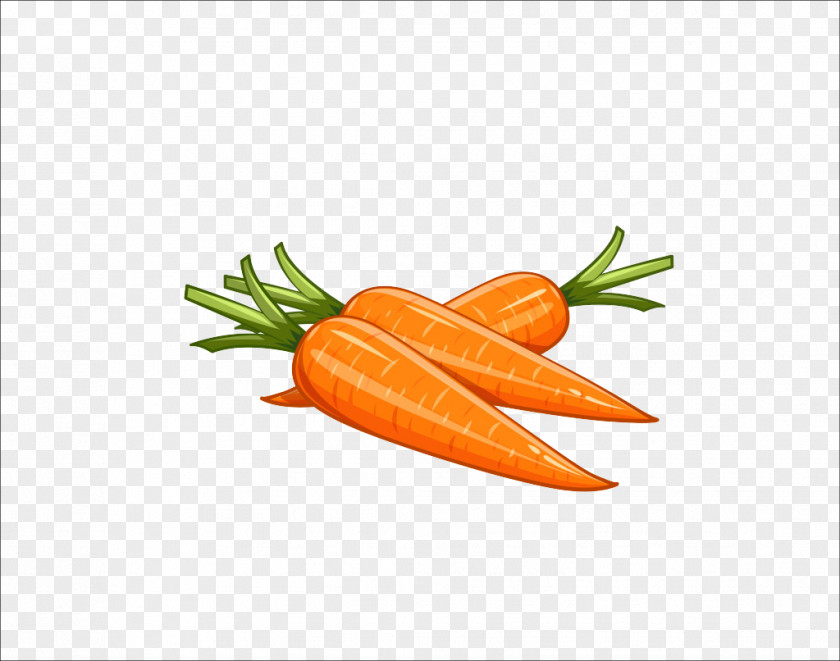 Hand-painted Carrot Drawing Royalty-free Illustration PNG