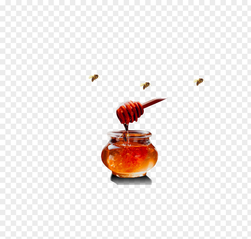 Honey Bee Download PNG