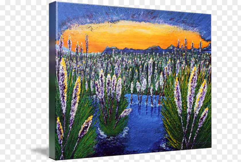 Painting English Lavender Meadow Ecosystem PNG