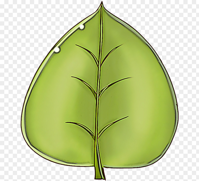 Tree Plant Leaf Green Clip Art PNG
