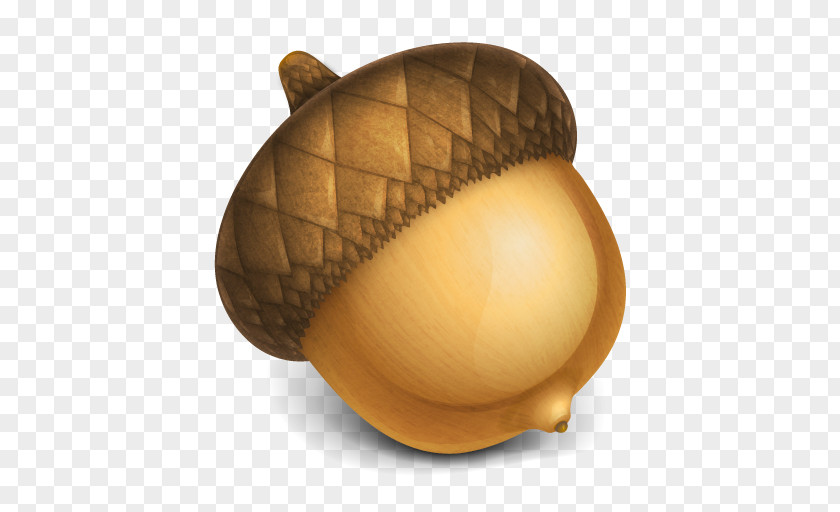 Acorn Clip Art PNG