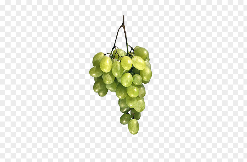 Bunch Of Fresh Grapes Common Grape Vine Fruit PNG