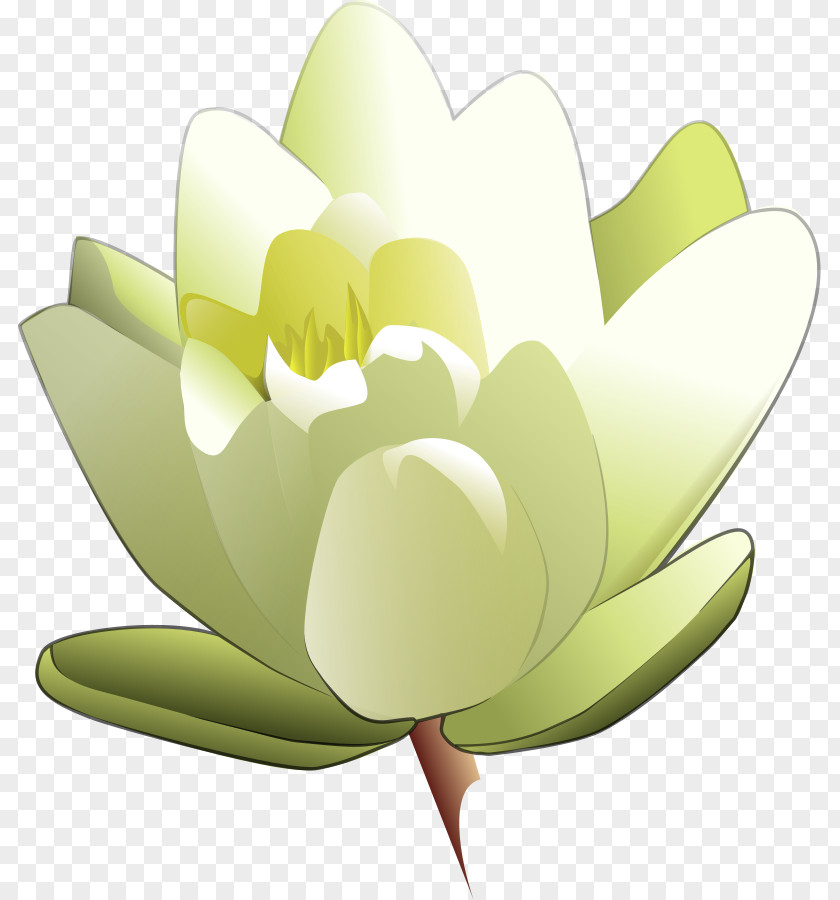 Frog On Lily Pad Clipart Easter Tiger Flower Clip Art PNG