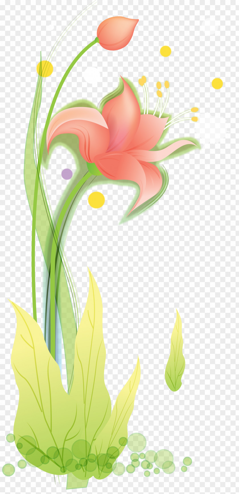 Menschlich Gesehen Ziemlich Abstossend Floral Design Flower Tulip Petal Garden Roses PNG