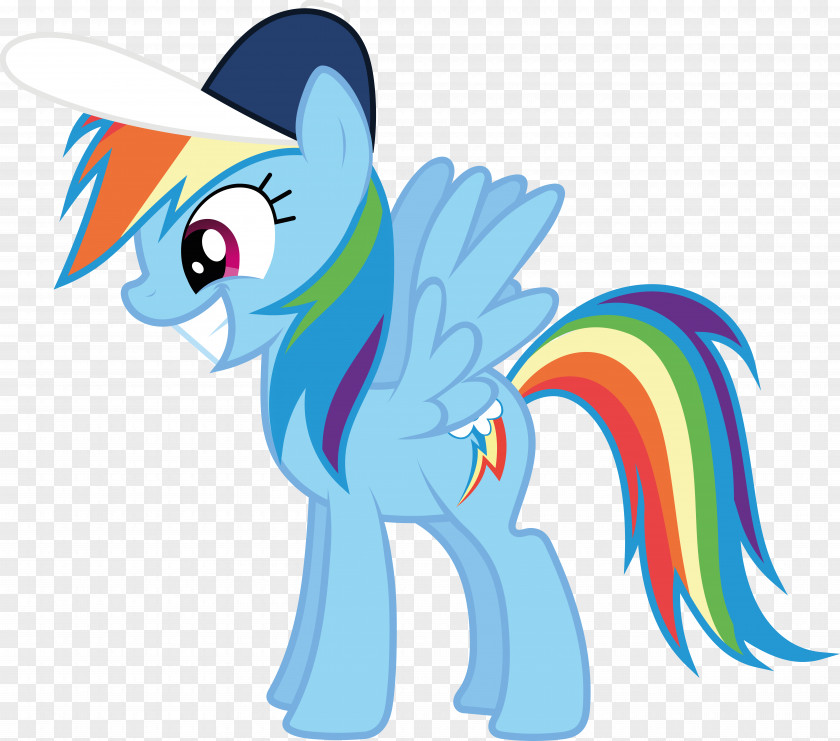 My Little Pony Rainbow Dash Pinkie Pie Rarity Twilight Sparkle Wonderbolt Academy PNG