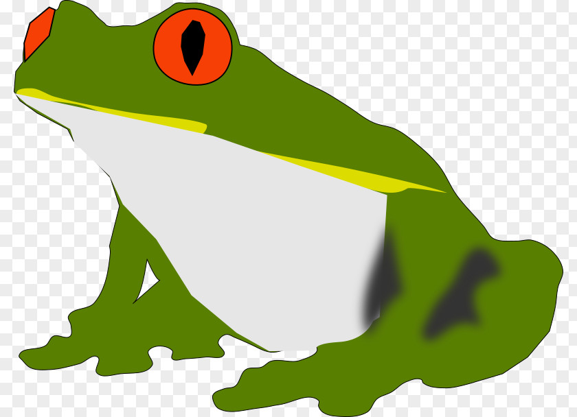 Amphibian Frog Clip Art PNG