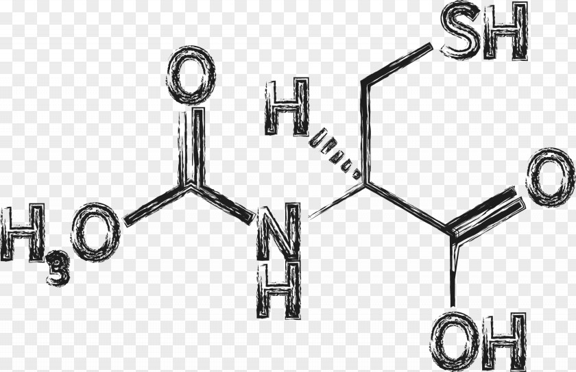 Anxiety Disorders And Phobias Succinic Acid Carboxylic PNG