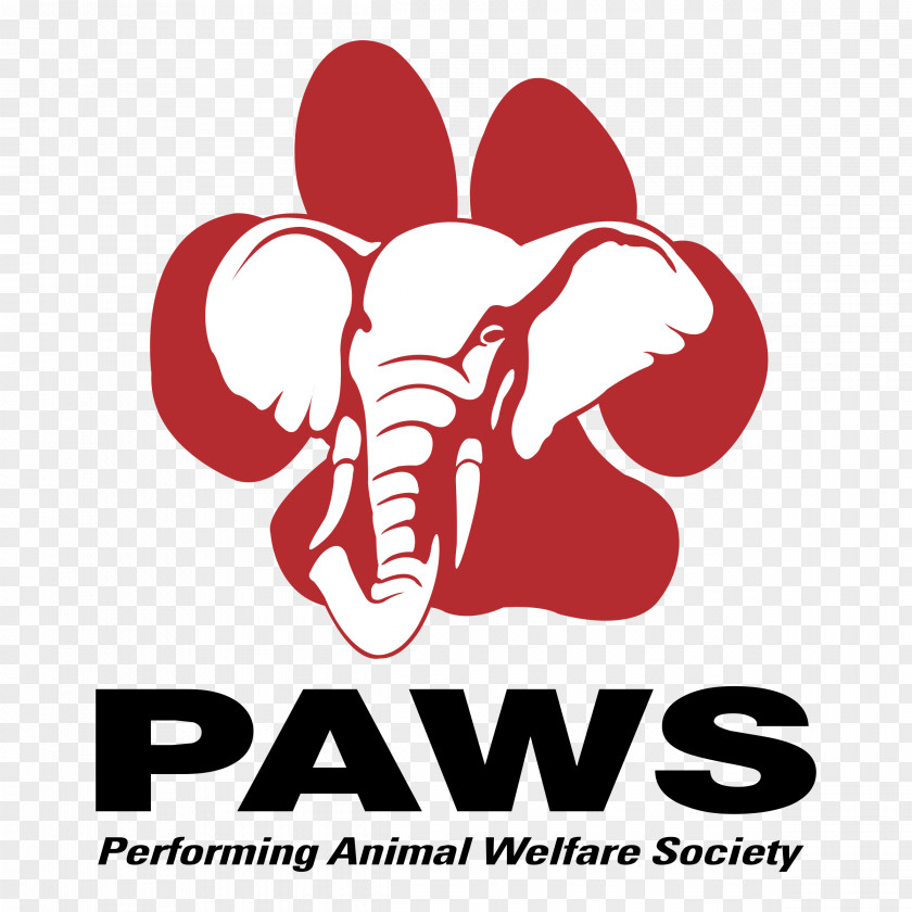 Bear Performing Animal Welfare Society Paw PNG