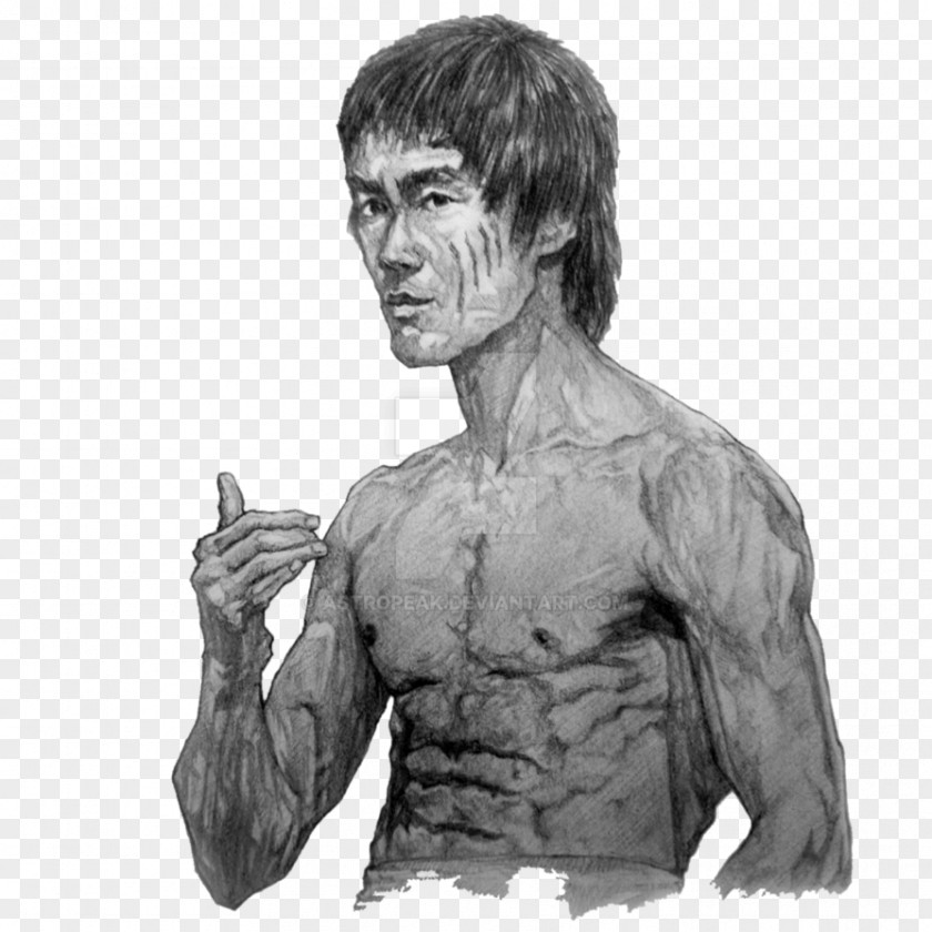 Bruce Lee Work Of Art Drawing Photography PNG