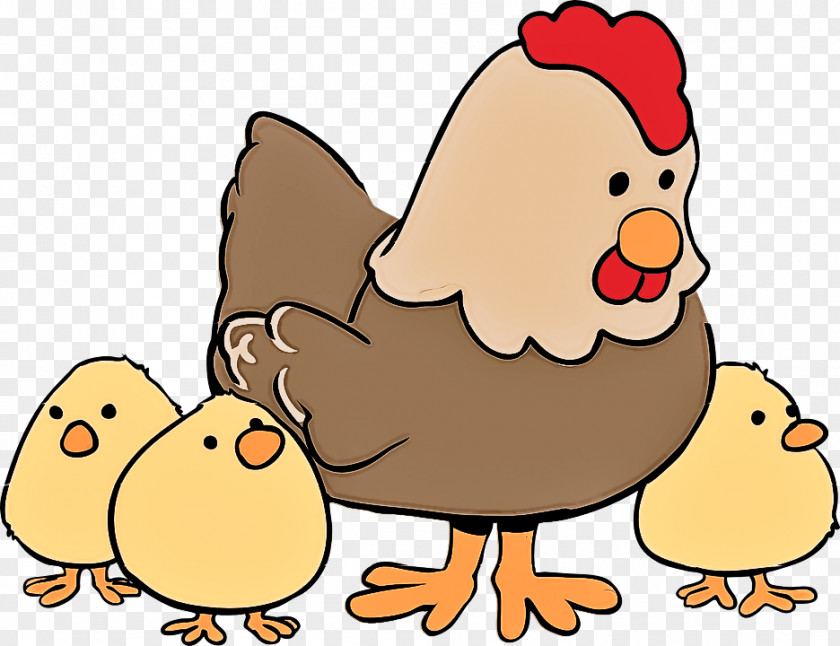 Chicken Cartoon Beak Rooster Bird PNG