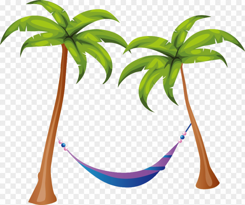 Coconut Clip Art Vector Graphics Image PNG