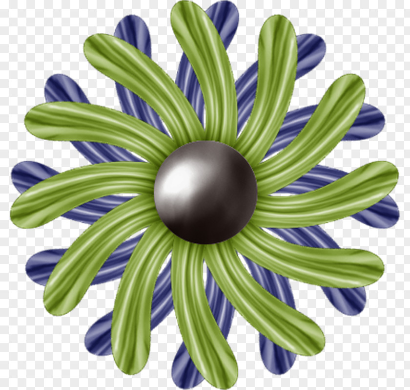 Jog Chrysanthemum Cut Flowers Petal PNG