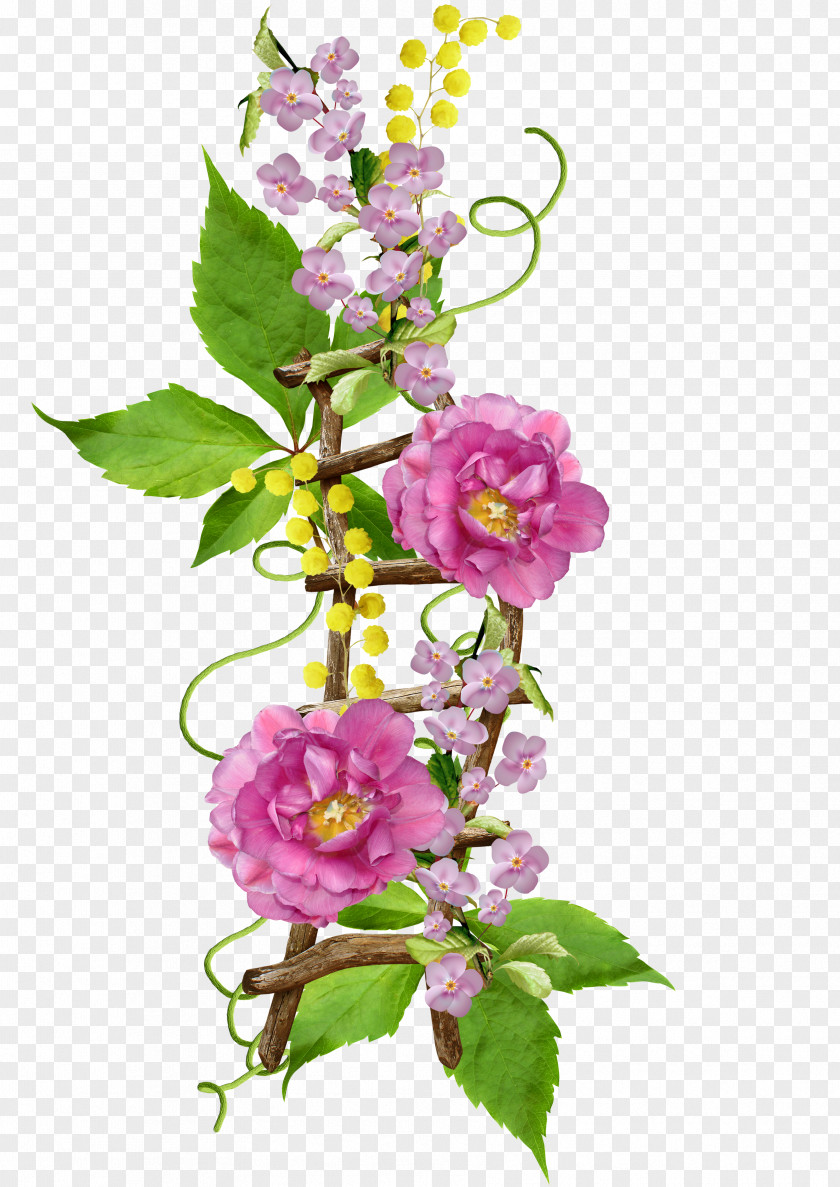 Ladder Flower PNG