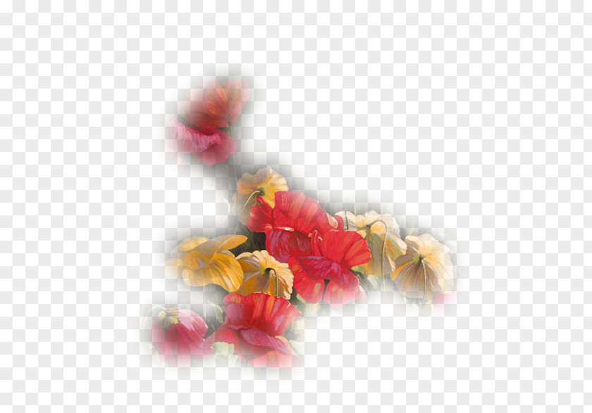 Morte Petal Still Life France Télécom Graphic Design PNG