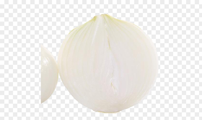 Organic Vegetable Onion Food PNG