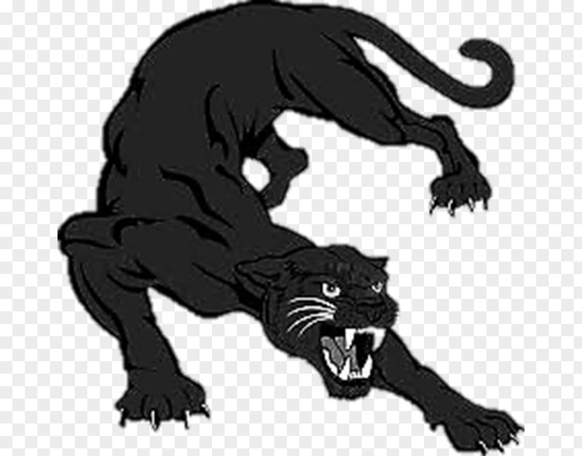 Tiger Lion Black Panther Cat Patrick Henry Middle School PNG