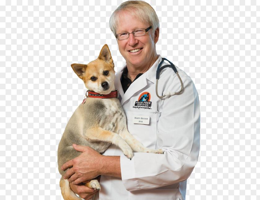 Veterinary Doctor Mehmet Oz Dog Breed Veterinarian Puppy PNG