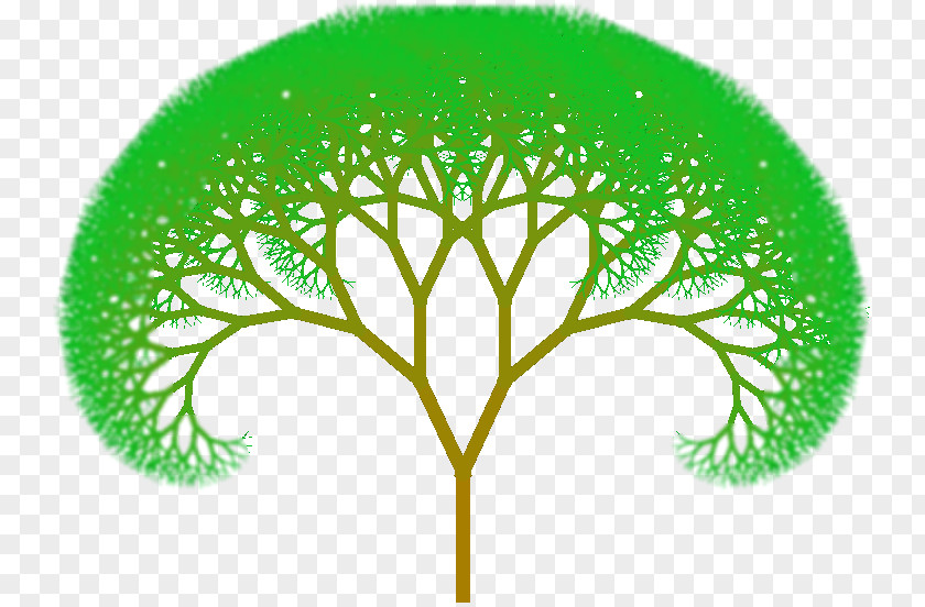 Animated Mangrove Forest Fractal Tree Index Drawing Clip Art PNG