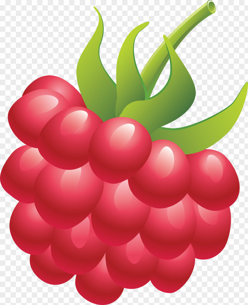 Creative Cartoon Fruit Raspberry Clip Art PNG