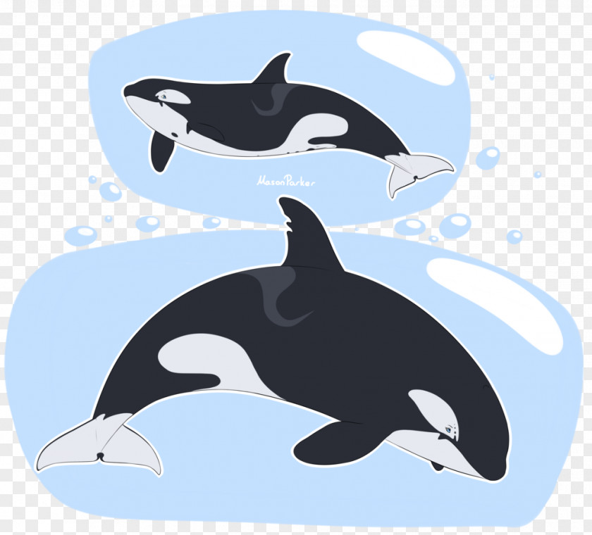 Dolphin Penguin Killer Whale Fauna Whales PNG