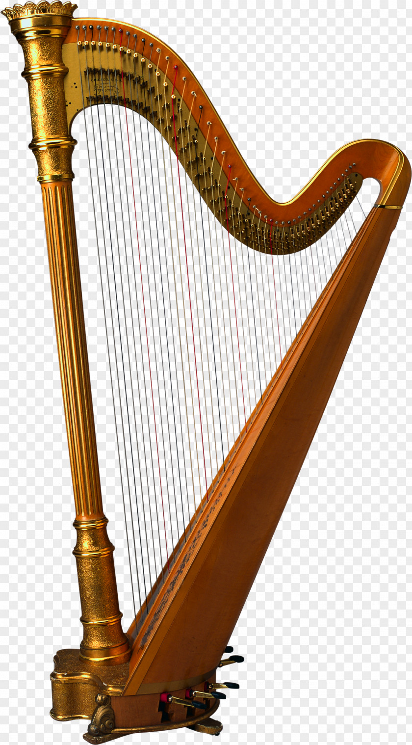 Harp Musical Instrument String PNG