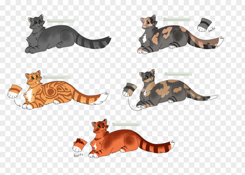 Kitten Cat Canidae Dog Paw PNG