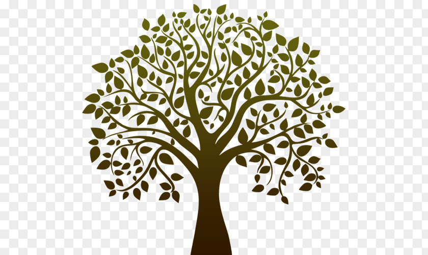 Life Tree Black And White Drawing Clip Art PNG