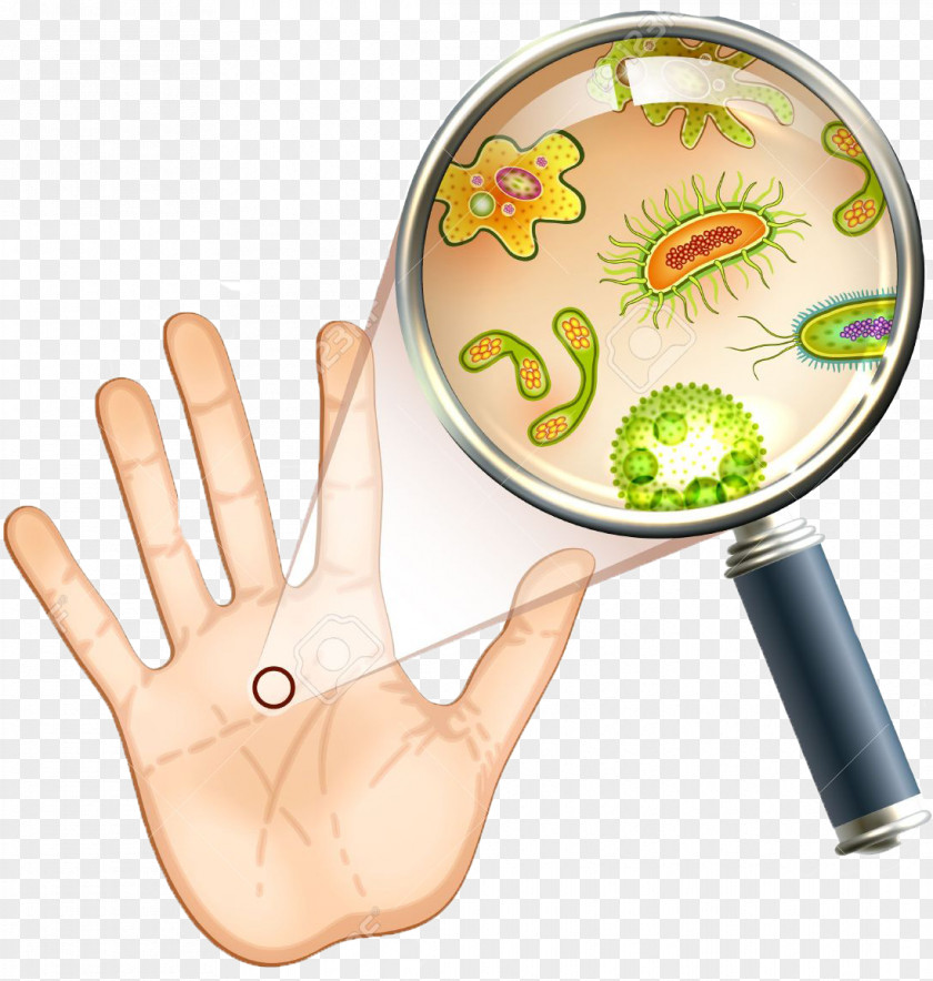 Magnifying Bacteria Microorganism Microscope Cell Amoeba PNG