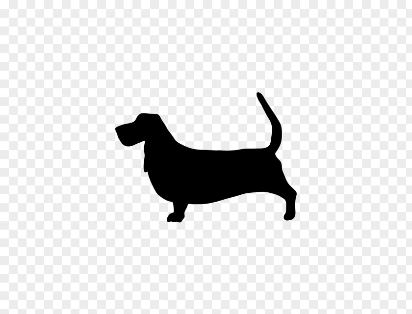 Muddy Water Dachshund Puppy Whippet Dog Breed Saluki PNG