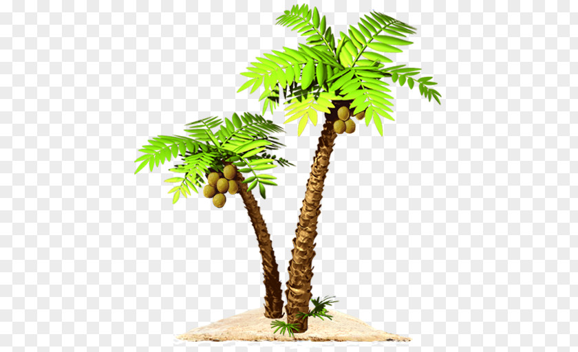 Paradise Beach Asian Palmyra Palm Mysteryville App Store Nevosoft PNG
