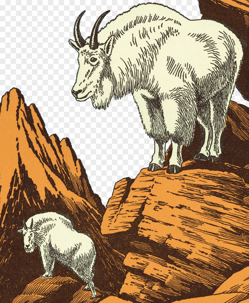 Plateau Goat Illustrator Sheep Mountain Cattle Illustration PNG
