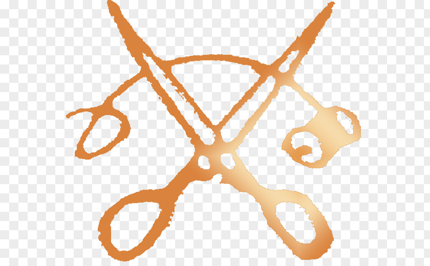 Scissors Invertebrate Line Clip Art PNG