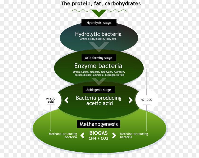 Technology Biogas Methane Bioreactor PNG